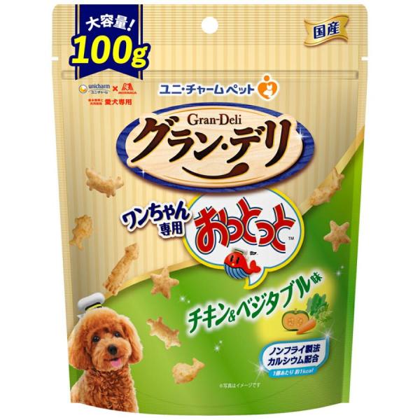 グラン・デリ　ワンちゃん専用おっとっと　チキン＆ベジタブル味　１００ｇ/犬　おやつ
