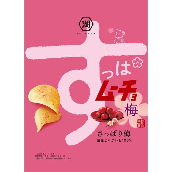 湖池屋 すっぱムーチョチップス さっぱり梅味 ５５ｇ×12個セット /湖池屋 すっぱムーチョ (毎)