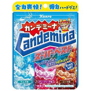 リカルデント グレープミントガムボトル 135．2g×6個セット/ガム