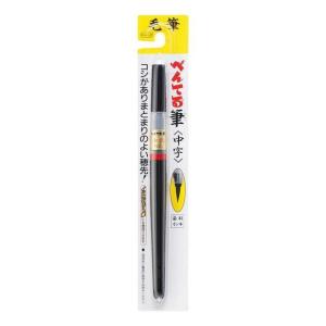 ぺんてる（Pentel） 筆文字ペン 太字軟×極細硬ツイン 水性染料 初心者