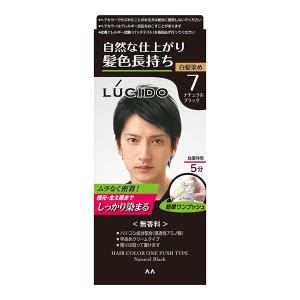 ラフェリーズ　6トーン&4トーン白髪染め黒染めカラー剤 40本セット サロンドプロ ワンプッシュメンズカラー（白髪用）6 ダークブラウン