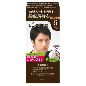 ビゲン 泡クリームカラー 2N ブライトブラウン 90g＋5ml/ヘア