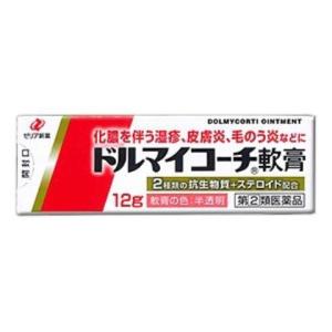 (指定第2類医薬品) ドルマイコーチ軟膏 １２ｇ /ドルマイコーチ軟膏 皮膚の薬｜v-drug