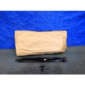 ハリアー MODELLISTA モデリスタ MXUA80 フロントドア サイドパネル