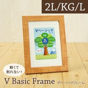 FUJIFILM（フジフイルム） 受発注品 フジカラー アルミ額縁 YA-5 全紙