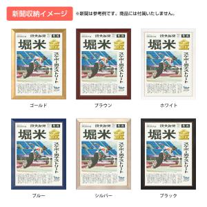 送料無料 新聞額 片面サイズ 全6色 546x...の詳細画像5