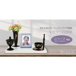メール便配送 Vカラー肖像額 Lハーフ 63x...の詳細画像1