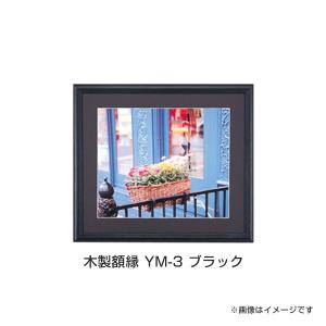 万丈（VANJOH） 画用紙額 八切 380x270mm 画用紙 額縁 フレーム