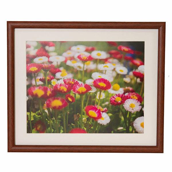 木製額縁 6切 M21 ブラウン フジカラー 受発注商品