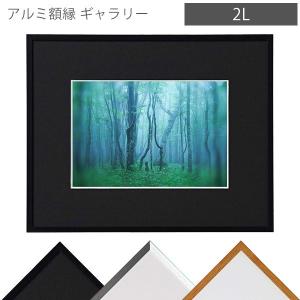 ケンコー・トキナー（KenkoTokina） 受発注商品 アルミ額縁 ギャラリー