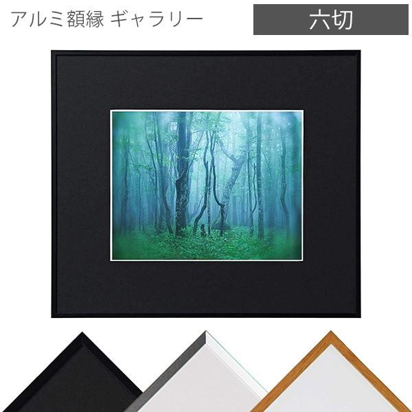 受発注商品 ケンコー・トキナー アルミ額縁 ギャラリー 六切  壁掛けフォトフレーム・額縁