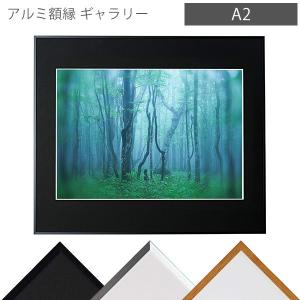 ケンコー・トキナー（KenkoTokina） 受発注商品 アルミ額縁 ギャラリー