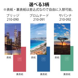 プチカードファイル 60枚収納 ポケットサイズ...の詳細画像2