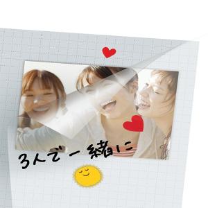 受発注商品 フォトアルバム セキセイ 「アルバ...の詳細画像4
