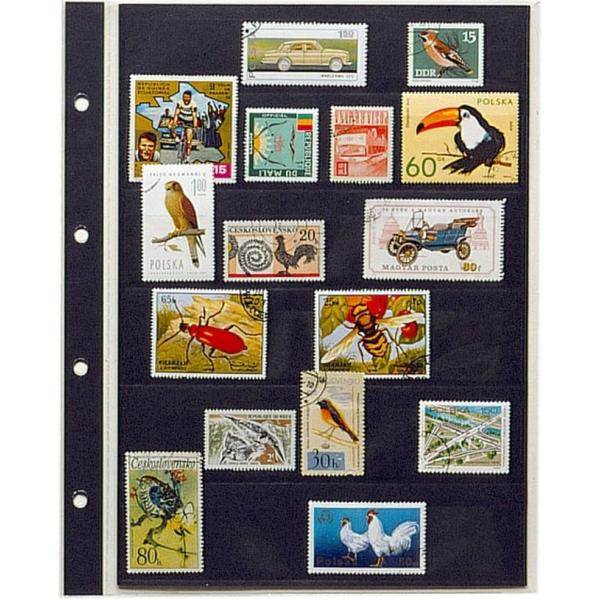 メール便配送 テージー コレクションアルバム スペア台紙 6段黒台紙 10枚入 切手 切符 シール ...