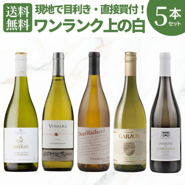 ワイン ワインセット 白5本 コク旨 すっきり白ワインセット  wine 白ワイン 飲み比べ デイリ...