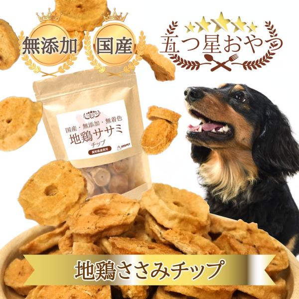 DOGPET 犬用 犬 猫用おやつ 高知県産 地鶏 ささみ チップス 100g 無着色 無香料 保存...