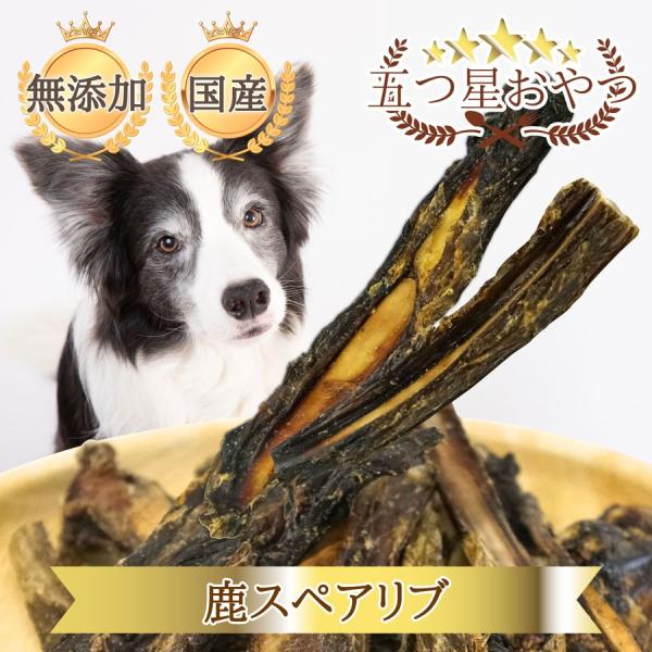 DOGPET 国産 鹿 肉 スペアリブ 30g あばら 骨 ペット 犬 用 鹿 長持ち 歯磨き おや...