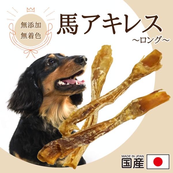 DOGPET 大型犬専用 国産 極太 馬 アキレス 約25~30cm 40g 口腔ケア 犬 おやつ ...