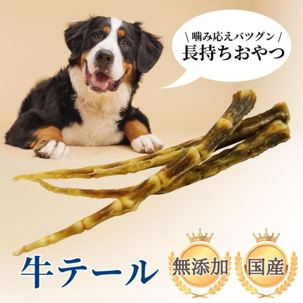 DOGPET 犬用 猫用 おやつ 仔牛の尻尾 牛テール 60g 中型 〜 大型犬 おやつ デンタルケ...