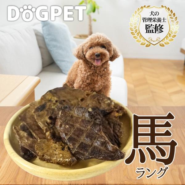 DOGPET 馬ラング 馬肺ジャーキー 40g 犬おやつ 無添加 犬の管理栄養士監修 高タンパク 低...