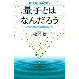 量子とはなんだろう 宇宙を支配する究極のしくみ/講談社/松浦壮（新書） 中古