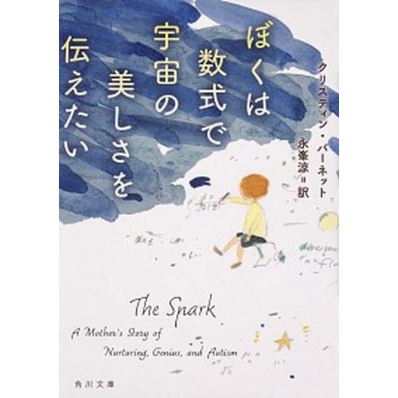 ぼくは数式で宇宙の美しさを伝えたい/ＫＡＤＯＫＡＷＡ/クリスティン・バーネット（文庫） 中古