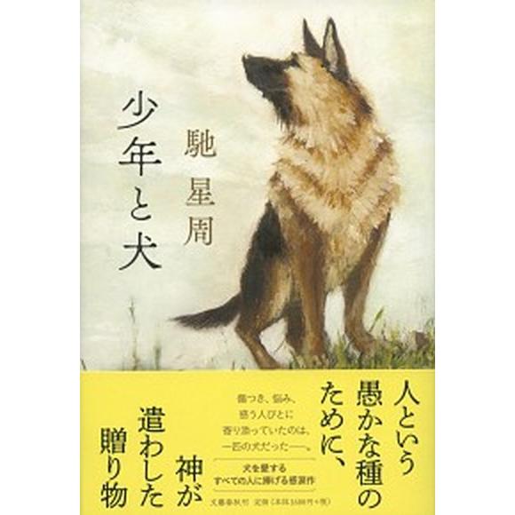 少年と犬   /文藝春秋/馳星周（単行本） 中古