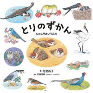 とりのずかん ものしりあいうえお/白泉社/雨宮尚子（単行本） 中古