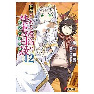 新約とある魔術の禁書目録 １２/ＫＡＤＯＫＡＷＡ/鎌池和馬（文庫） 中古