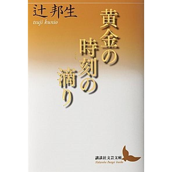 黄金の時刻の滴り/講談社/辻邦生（文庫） 中古