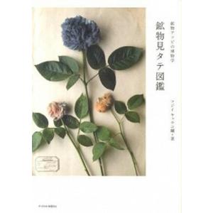 鉱物見タテ図鑑 鉱物アソビの博物学  /Pヴァイン ブックス/フジイキョウコ  