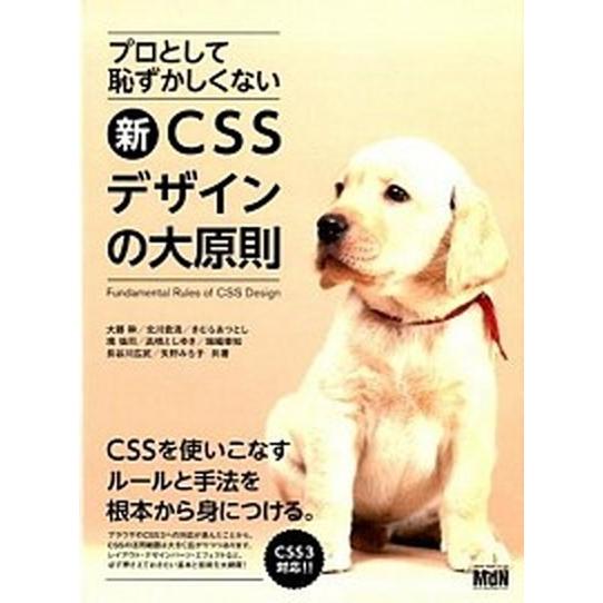 プロとして恥ずかしくない新CSSデザインの大原則（単行本） 中古