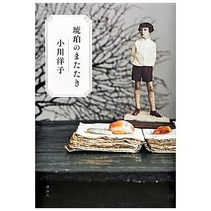 裁断済　高度実践看護 統合的アプローチ　邦訳第3版 Amazon.co.jp: 高度実践看護: 統合的アプローチ 第3版 : 中村
