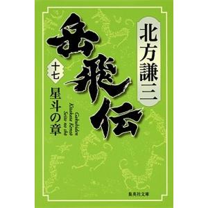 岳飛伝  １７ /集英社/北方謙三 (文庫) 中古
