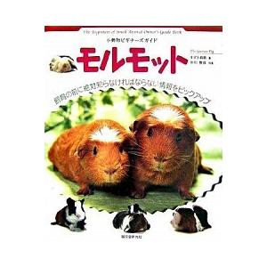 モルモット 小動物ビギナ-ズガイド/誠文堂新光社/すずき莉萌（単行本） 中古