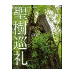 聖樹巡礼 幸せを呼びこむスピリチュアル・ツリ-に出会う/ＰＨＰ研究所/杉原梨江子（単行本） 中古
