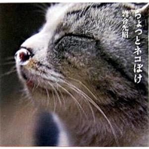 ちょっとネコぼけ/小学館/岩合光昭（単行本） 中古