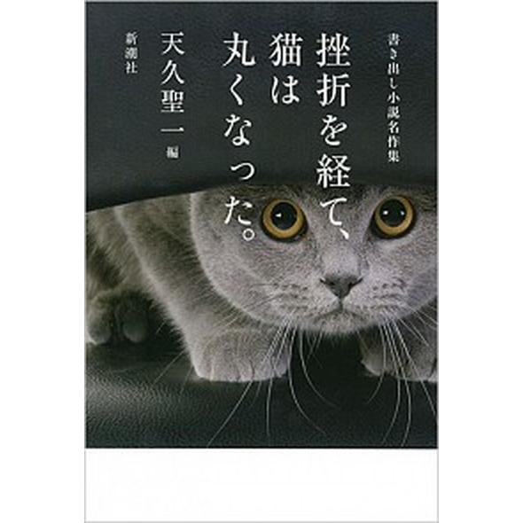 挫折を経て、猫は丸くなった。 書き出し小説名作集/新潮社/天久聖一（単行本） 中古