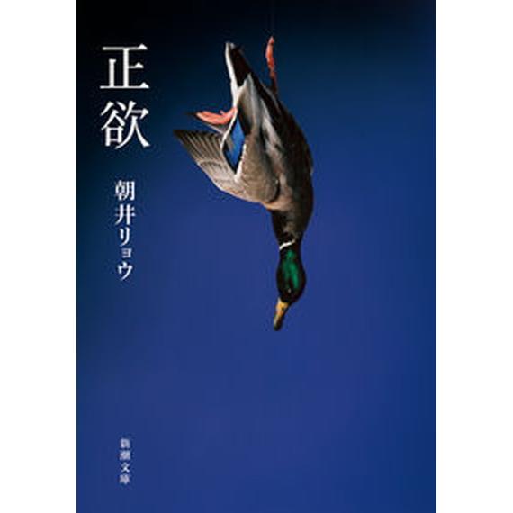 正欲/新潮社/朝井リョウ（文庫） 中古