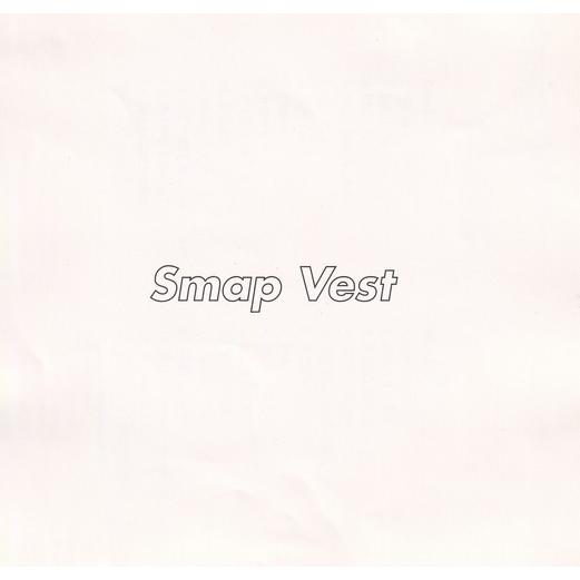 2CD Smap Vest / SMAP 中古