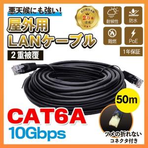 CAT6A 屋外用 LANケーブル 50m 2重被覆 PoE対応 ツメの折れないコネクタ付 難燃性 耐候性　