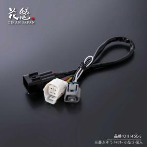 花魁JAPAN 花魁 COMBO MINI（ミニ）シーケンシャルモデル 2t車用 左右