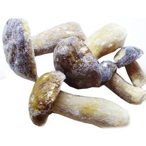 イタリア産 冷凍 ポルチーニ茸 リゾット パス...の詳細画像1