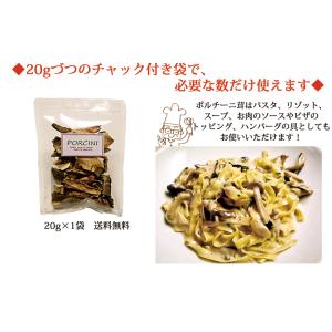 イタリア産 乾燥 ポルチーニ茸 20g 20g...の詳細画像5