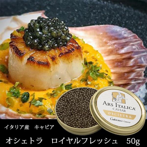 フレッシュキャビア イタリア産 オシェトラ ロイヤルフレッシュ 50ｇ キャビア