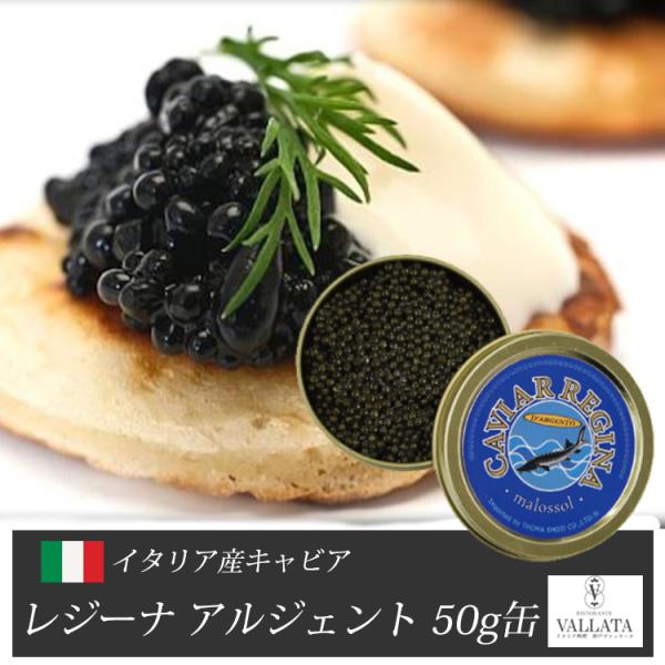イタリア産 キャビア レジーナ アルジェント 50g缶　キャビア