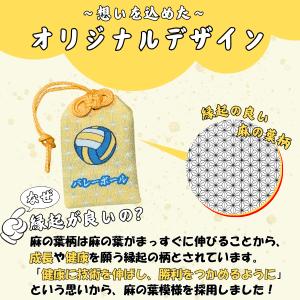 バレー グッズ 雑貨 プレゼント イベント 卒...の詳細画像2