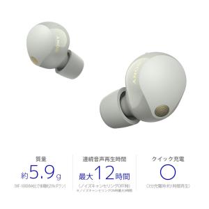 在庫あり ソニー SONY 完全ワイヤレスイヤ...の詳細画像1