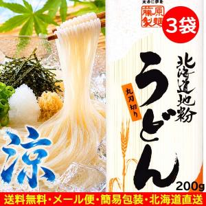 1000円ポッキリ 1000えん以下 送料無 食品 うどん 乾麺 200g×3袋 北海道地粉 袋麺 国産小麦 藤原製麺｜ラーメン ギフト 贈り物北海道